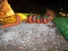 cimg0443